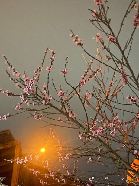 edgardo barraza pornstar top galleries