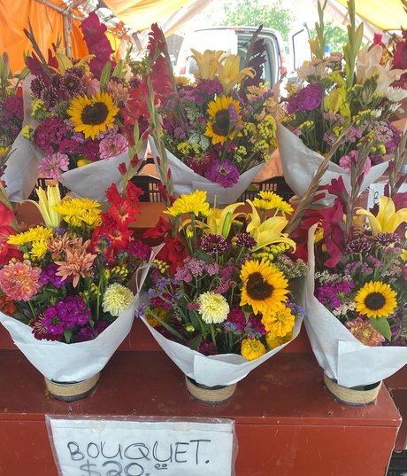 quinnnnx no ppv high quality model gallery