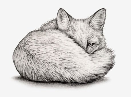 Quinn Fox naked star image