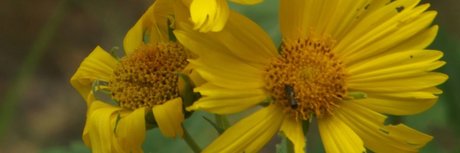 anal dildo onlyfans hot naked photos