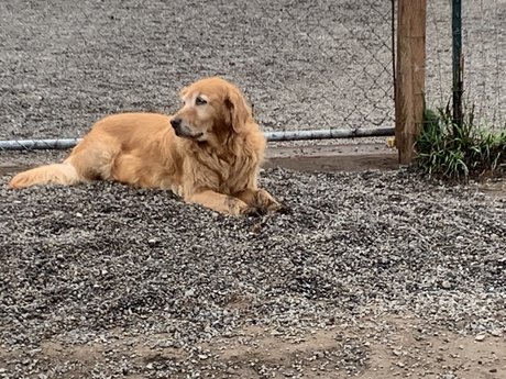 Michael Scott nudes model archive