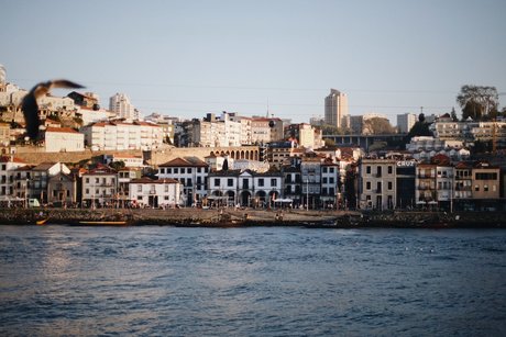 curvy ebony onlyfans free porn photo