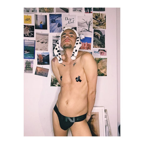 DOMINO BOLT best star archive