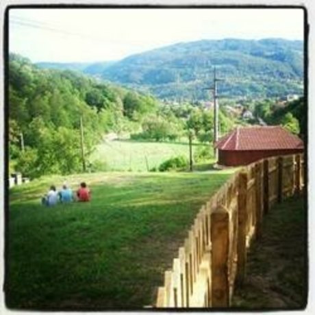 Dejan C_ star beautiful img