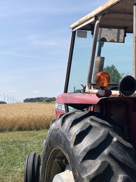 Dmich sexy star gallery