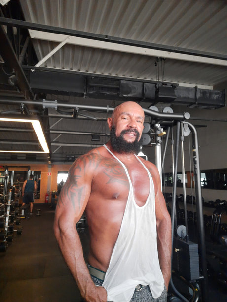 Tigr o hd actress pic