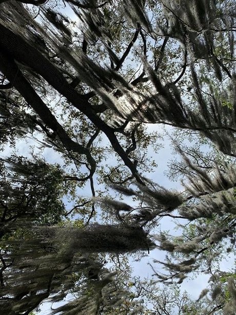 body onlyfans hd pictures