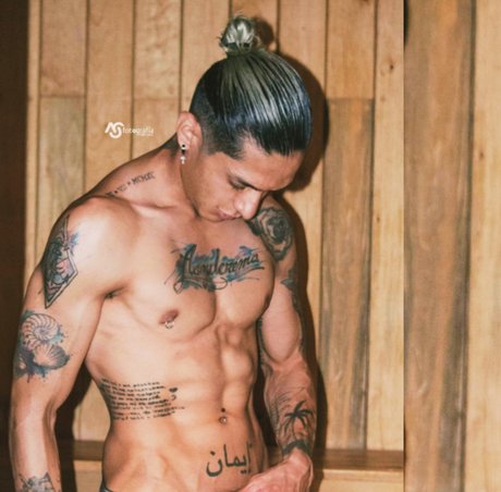 Eddy perfect pornstar galleries