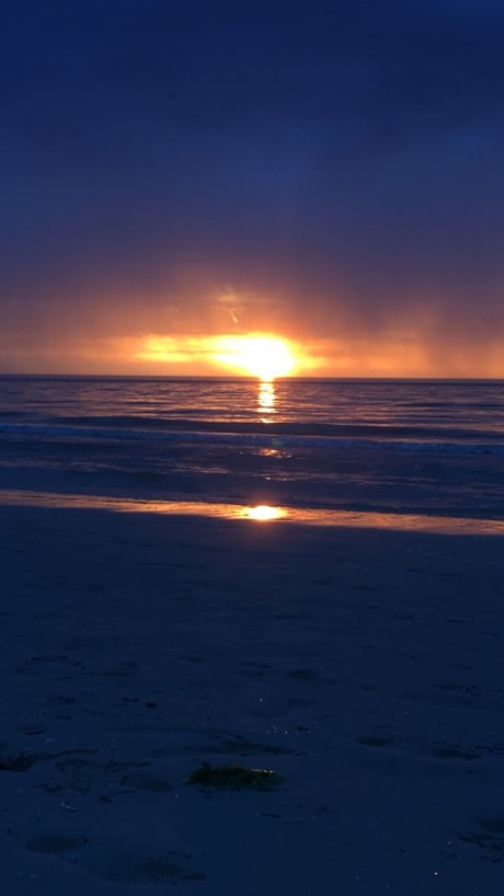 Disturbed princess_ pornographic star picture