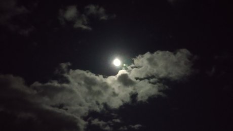 Don Doin_ adult model image