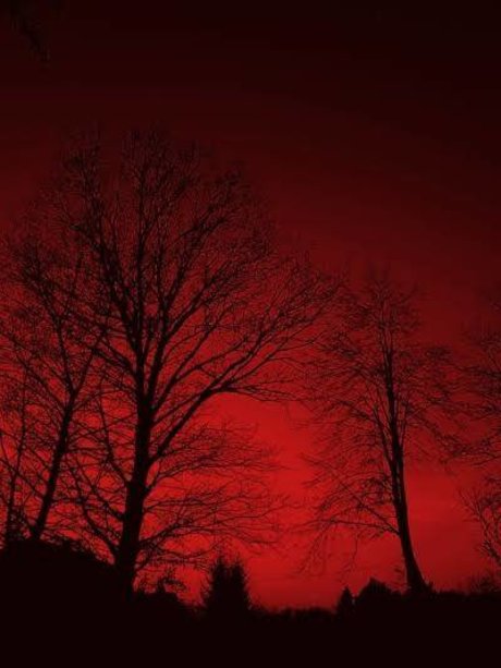 Exclusive K pornstar exclusive img