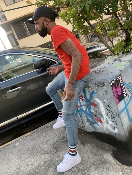 RaySinatraa model best img