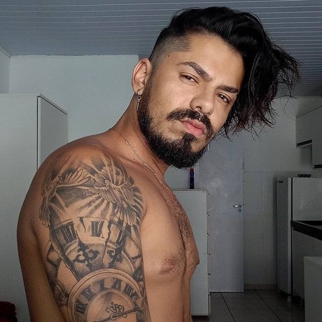 Ray Minuzzi hd model archive