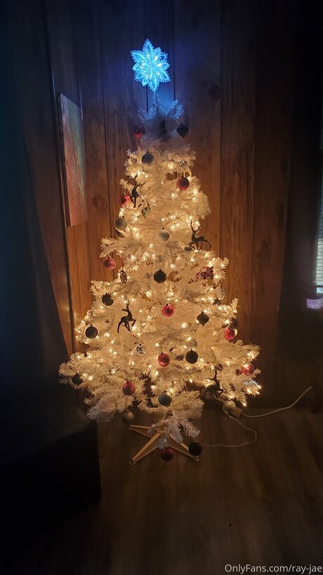 Ray Jae nude pornstar picture