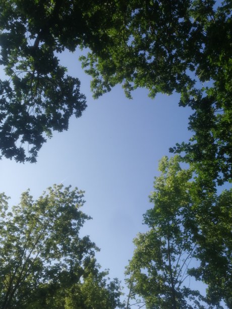 Ravenica exclusive actress pic