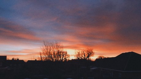 peter pan pornstar nude picture