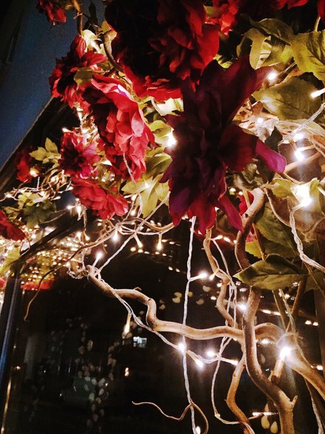 Raptor toes nude actress pics