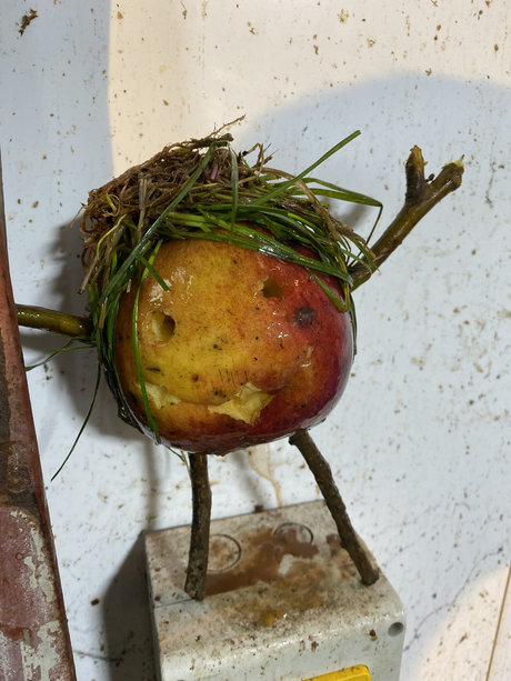 Rich Rowe model exclusive photo