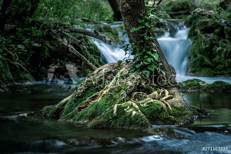 RedRhino model free pictures