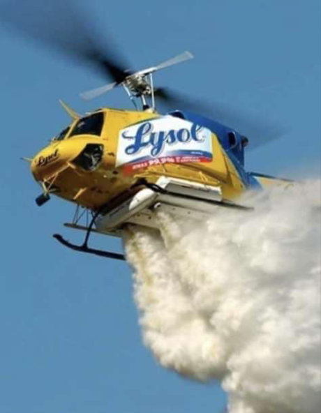 gakworld art model pic