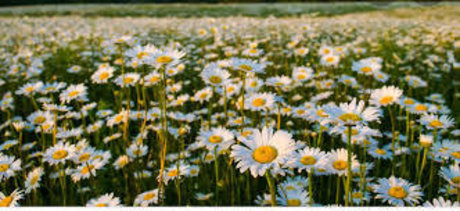 Remington Jane star best photo