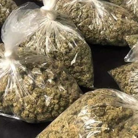 Red Tage1685 star porn photo