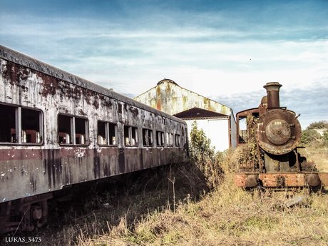 red scorpions adult star galleries