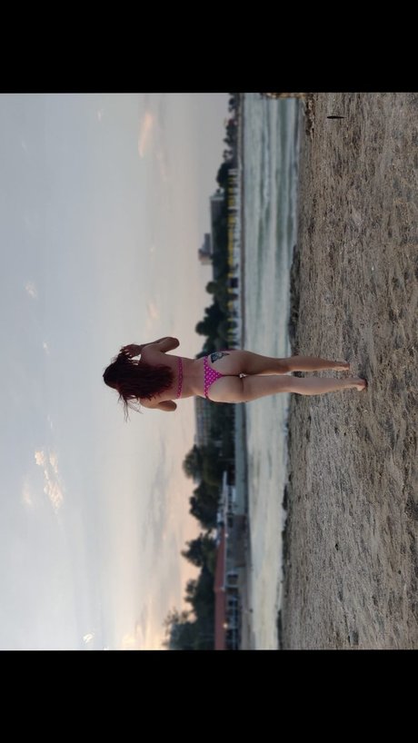 Alecsys model best image