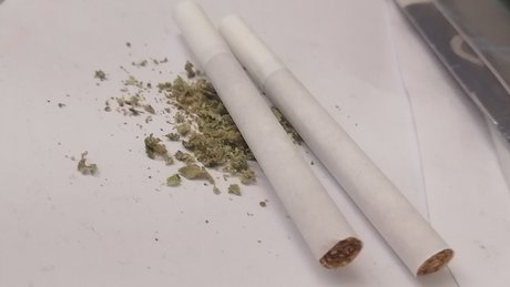 asmr bunny onlyfans adult pics