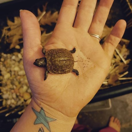 Rebel girl next door sex star galleries