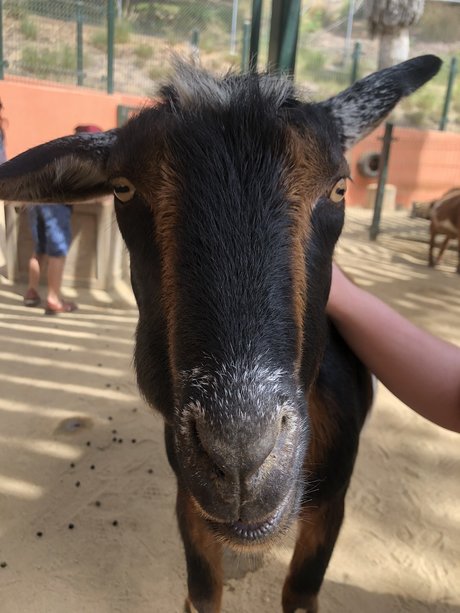 Couple Adventures pornstar high quality photos