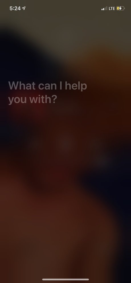 Roman Reese pornstar galleries