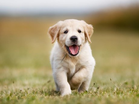 RobinKh nice star images