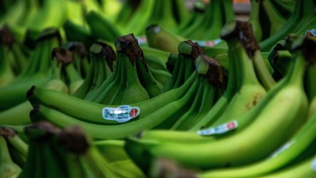 Robert Fretz pretty pornstar pics