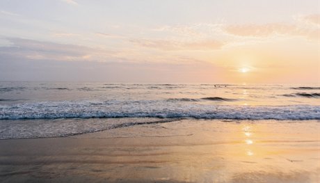 Robert f top model gallery