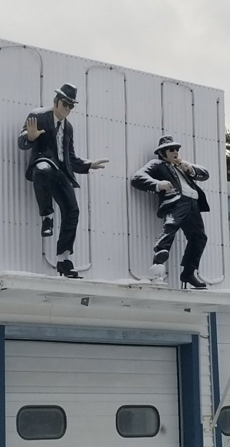 amateur trans onlyfans top pic