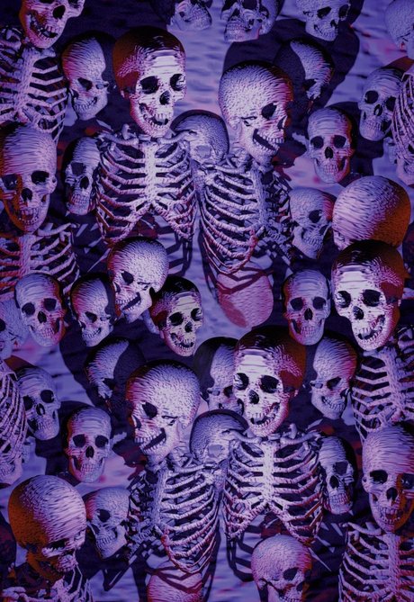 Ringmaster Sani star pornographic gallery