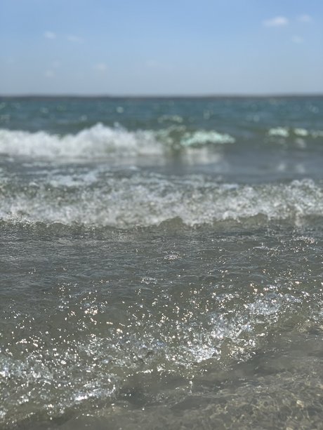 Bailey Knight top model photo