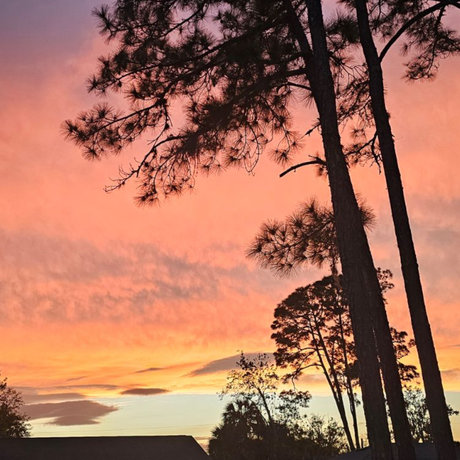 Riley Elizabeth pretty pornstar galleries