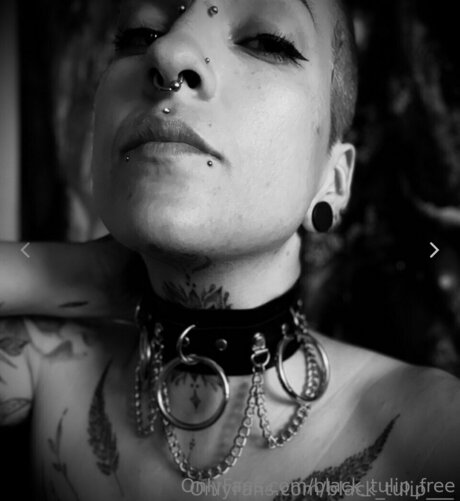 rubber tulip nude star image