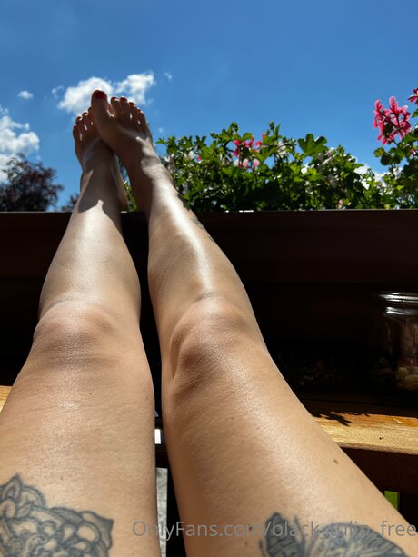 rubber tulip model perfect galleries