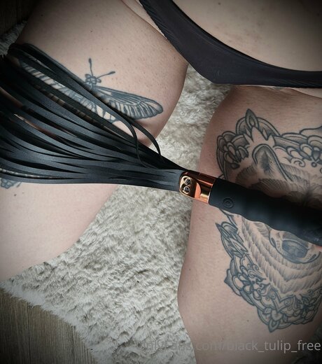 rubber tulip model beautiful archive