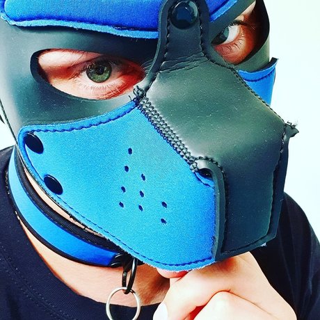 Sunshine live Edition star sexy image