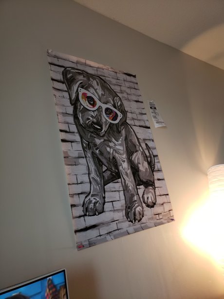 TacoPup adult actress photo