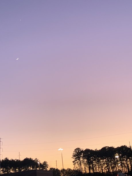 Roxanne Trixxx pornstar adult pics