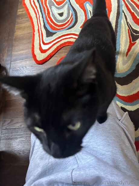 _rowdy ruffin_ sex pornstar images