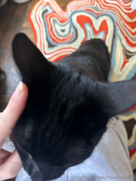 _rowdy ruffin_ model sexy img