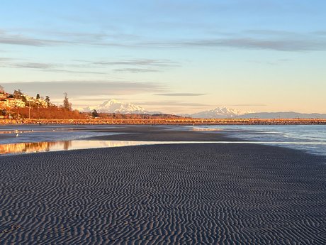 Rover Woodsdale perfect model pic