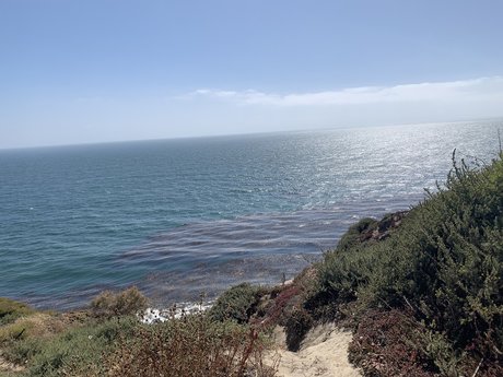 Ian Rios star gallery