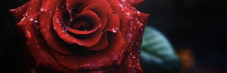 Tasha Vixen model erotic gallery